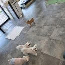 안녕;상이친구들!