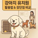 우리강아지(My Dog) | 강아지 유치원, 보내야 할까? 활용법 &amp; 장단점 정리