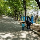 장미원 (산림욕장) 이미지