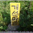 산내면 반선마을 Daum카페