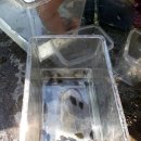 가곡초등학교(보발분교) 이미지