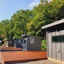 북면358 | 인제 애견동반숙소 TOP 4곳 비교 잔디마당과 캠핑 후기 많은 곳