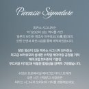 G5521 | 피카소시그니처 1308 아이섀도우 브러쉬 리뷰