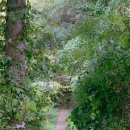 산으로 간 니모 캠핑장 이미지