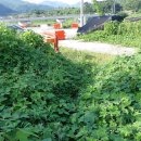 감천제방 이미지