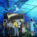 여수엑스포 홍보관 이미지