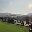 두바이애견풀빌라2 | [플레이독애견풀빌라/내돈내산] 2번째 방문 101호 복층 솔직후기