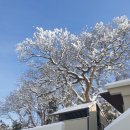 스테이 옥도 이미지