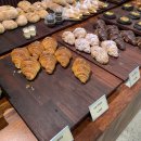 비브레이브 이미지