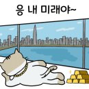 호텔발리3 이미지