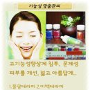 푸른셀