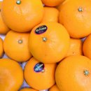 달빛과일 공도점 이미지