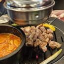 [맛집] 을지로편(청기와타운 을지로점, 파친코, 빽돈 을지로점, 을지하옥, 망우삼림 필름현상)