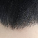 남자의향기미용실