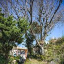 포구나무민박 이미지