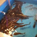 반구정입구 이미지