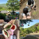 마곡사관광지 주차장 화장실 | 공주 마곡사 2코스 등산 후기 : 주차부터 마곡사 등산코스 총정리