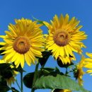 좋은만남 이미지