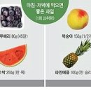 과일 충전소 이미지