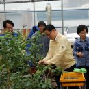 박수영농장 이미지