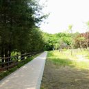 안곡습지공원 화장실 이미지