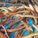 뮤지엄남해 이미지