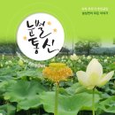 별통신 세계타임즈