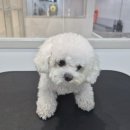 더개편한세상