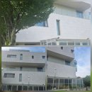 태광장식 | 태광CC 근처 루나가든 베이커리&amp;다이닝 솔직 방문 후기 🐶 애견동반 가능