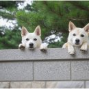 신천동물병원 이미지