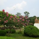 화동초등학교 이미지