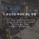뽑고가자 이미지