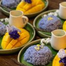 일출약국 이미지