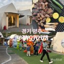 양주르yangjour 이미지