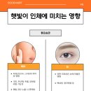 햇빛 좋은 PT 이미지