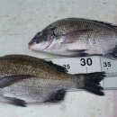 다대2동-12 이미지