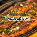죽향 | 전남 담양 국수거리 맛집 죽향풍천장어 특장어정식 후기