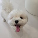 멈머링(mummuring) 이미지