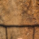 생각이 바뀌면 삶이 바뀐다 | 이미지