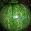 문채농장 이미지