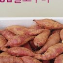 월출농장 이미지