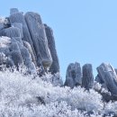 호술 이미지