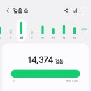 미쳐버린 그 날의 종로먹부림 (생선구이/진옥화닭한마리/시골집LA갈비)