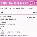 퍼시픽블루 이미지