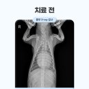가양동물의료센터 이미지