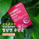 매탄2동 199-8~매탄2동 199-75 | 혈당스파이크 뜻 증상 기준 관리를 위해 선택한 혈당조절 영양제 에이투젠 혈당엔 유산균