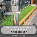 부평구청의회 | 폐기물처리 해주는 업체~! 인천 연수동 동춘동 학익동 옥련동 구월동 부평 계산동 효성동 가좌동 작전동
