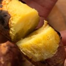 소일농장 이미지