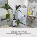 해브네일 이미지