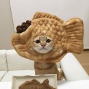 냥냥이네 이미지